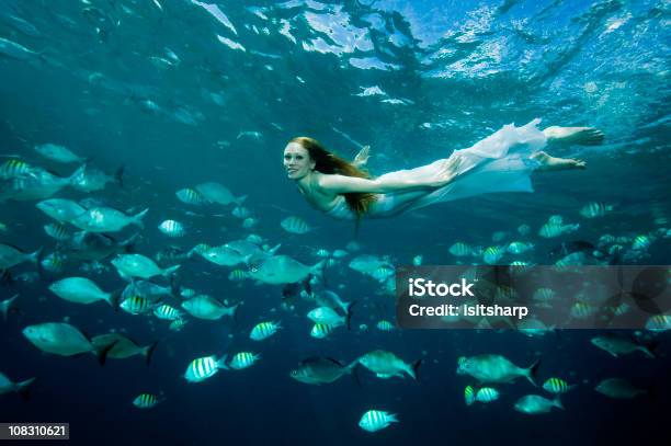 Foto de Submarino De Beleza e mais fotos de stock de Debaixo d'água - Debaixo d'água, Raio de sol, Vida no Mar