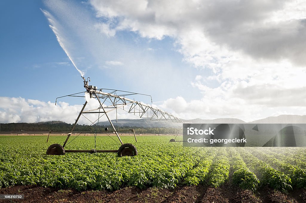 Agricultura: Recorte de irrigação - Foto de stock de Agricultura royalty-free