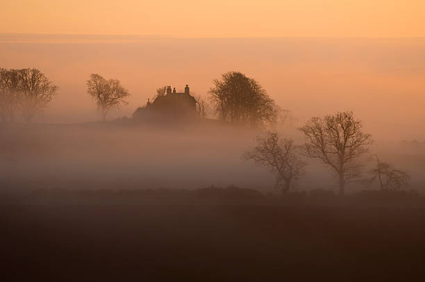 Countryside landscape with hills covered with green grass, wild plants, lush trees covered with mist in the background, country road, parked cars and houses, cold foggy summer morning in Luxembourg