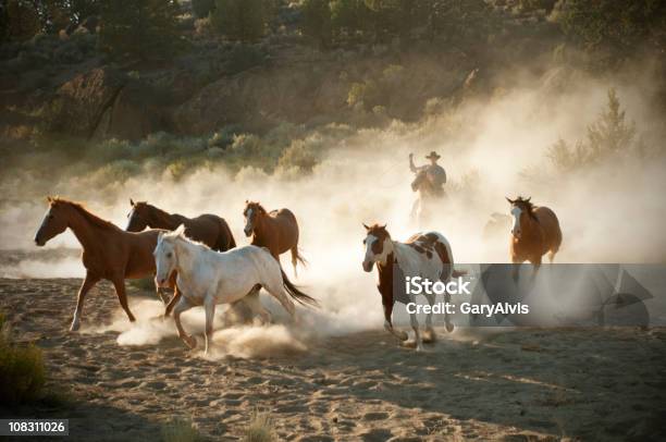 Cowboy - Fotografias de stock e mais imagens de Cavalo - Família do Cavalo - Cavalo - Família do Cavalo, Sombra, Vaqueiro