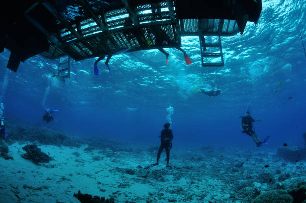 Divers under dive boat, Agincourt Reefs, Port Douglas, Great Barrier Reef, Australia stock photo