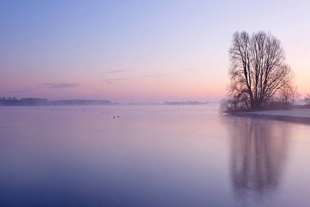 in the evening lake in the backdrop of the setting sun