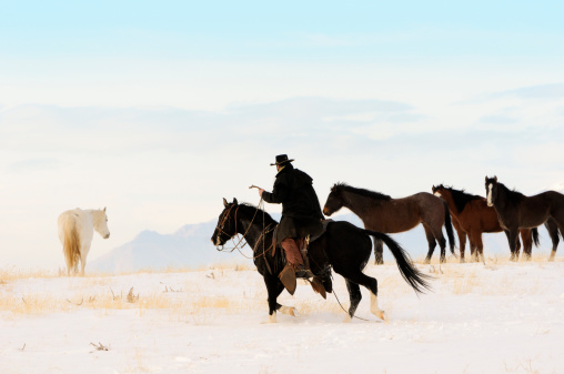 Lone cowboy rounding up a straggler from a herd of wild horses. Mountains in background. Wild West adventure.  Copy Space.
