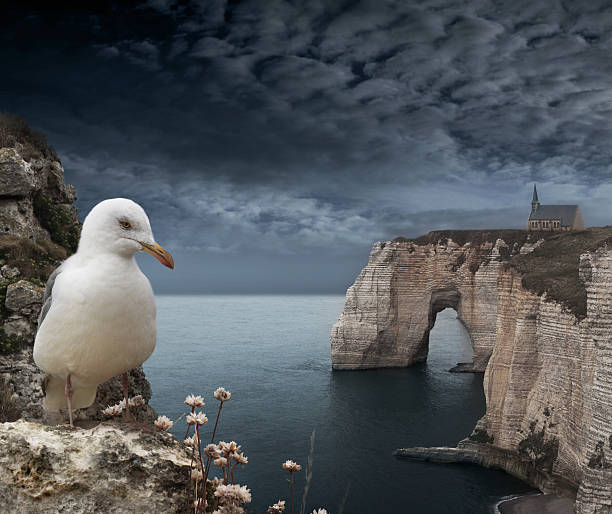 istock Etretat cliffs with seagull in dark storm weather 108311419