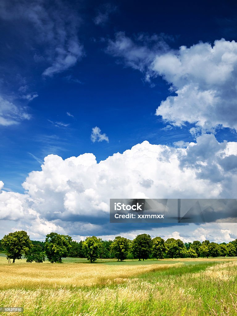 meadow ciel et les arbres - Photo de Bleu libre de droits