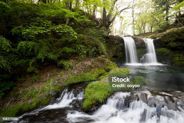 Foto de Cachoeiras e mais fotos de stock de Beleza natural - Natureza - Beleza natural - Natureza, Cascata, Corredeira - Rio