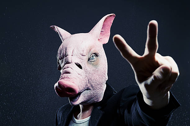 swine что делает знак мира - animal head flash стоковые фото и изображения