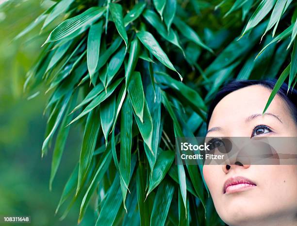 대나무 여자 야외 20-24세에 대한 스톡 사진 및 기타 이미지 - 20-24세, 20-29세, 검정 머리