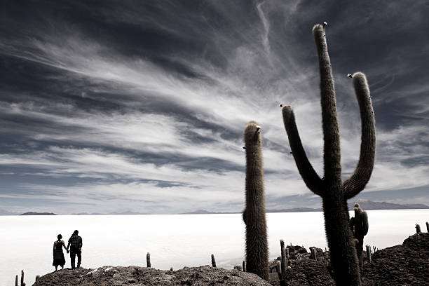 Road from Hurtado to Vicuña in the fourth region of Chile