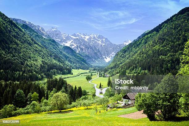 のどかなアルプスヴァレイ - 谷のストックフォトや画像を多数ご用意 - 谷, 草地, Logar Valley - Slovenia