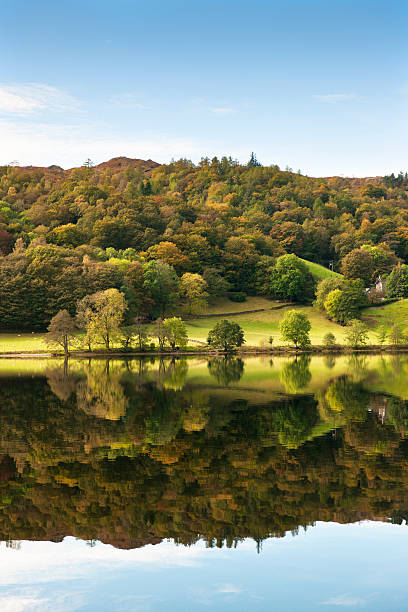 Beautiful Autumn Reflection Lake Grasmere  grasmere stock pictures, royalty-free photos & images