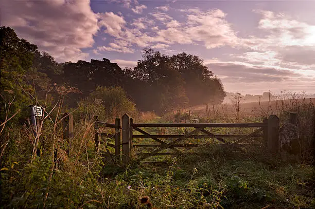English Country Farm Gate at sunrise in Tees Valley near Richmond,  UK