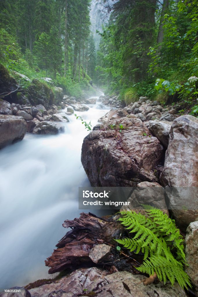 Río de montaña - Foto de stock de Agua libre de derechos