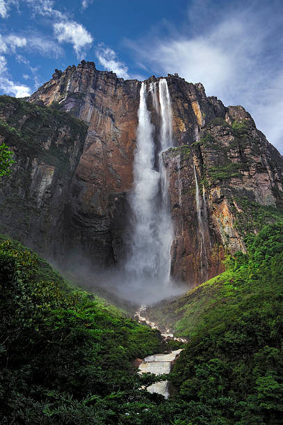 "salto ángel" - venezuela fotografías e imágenes de stock