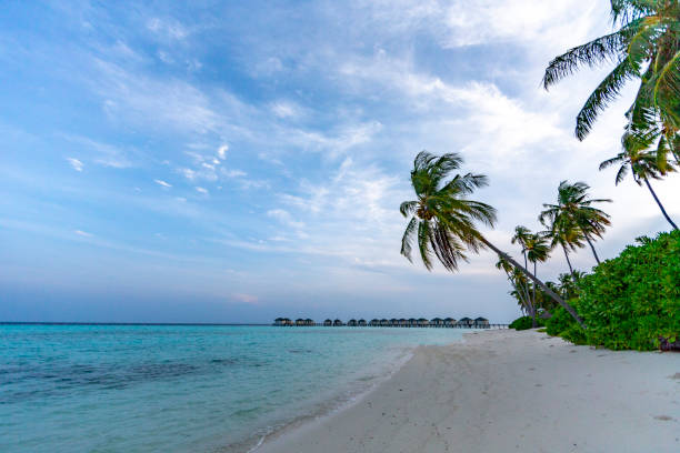 istock View of Maldives 1083123538