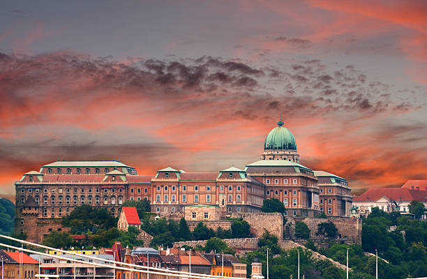 будайский замок, будапешт-венгрия - royal palace of buda фотографии стоковые фото и изображения