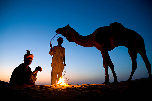 インドキャメルのサファリ - india campfire desert camel ストックフォトと画像