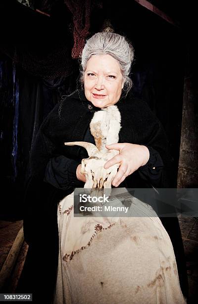 Bewitched - zdjęcia stockowe i więcej obrazów Czarodziej - Czarodziej, Portret, Starsze kobiety