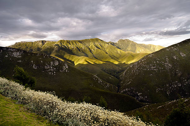 Orange Free State panorama on the road to Karoo, South Africa. African landscape