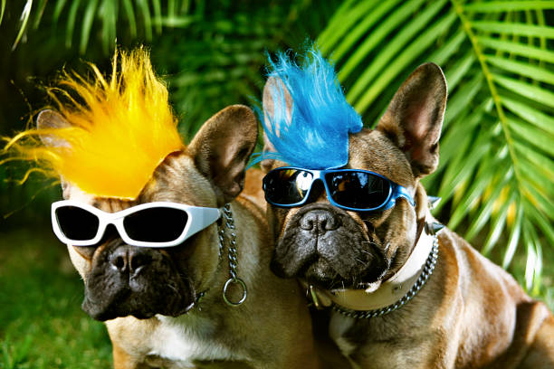 istock couple of punk 108312679