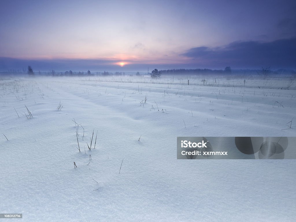 Tramonto invernale - Foto stock royalty-free di Ambientazione esterna