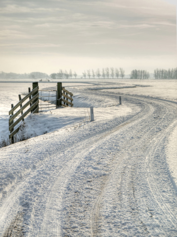 Grass blades covered with snow outdoors on winter day