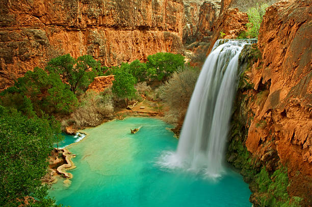 Havasu Falls the beautiful setting of Havasu Falls in Arizona. Taken under an overcast sky with a soft warm light highlighting the red sandstone, green cottonwoods and the famous tourquoise waters of the lagoon. havasupai indian reservation stock pictures, royalty-free photos & images