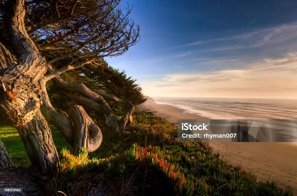 Pôr do sol sobre as ondas - Foto de stock de Beleza natural - Natureza royalty-free