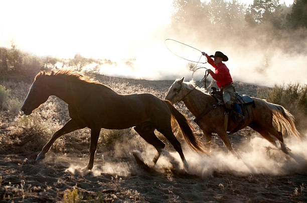 istock Western roundup W/running horses,cowboy roper action,backlit dust 108313477