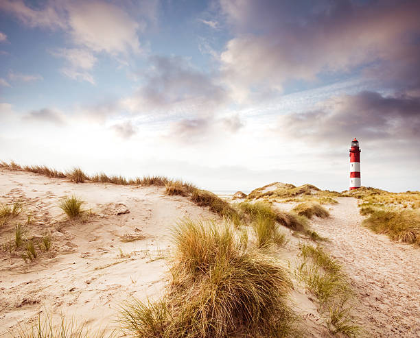 lighthouse in the dunes - duitse noordzeekust stockfoto's en -beelden