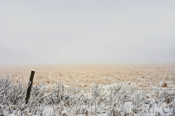 istock Frozen Fence Post and Fog 1083136178