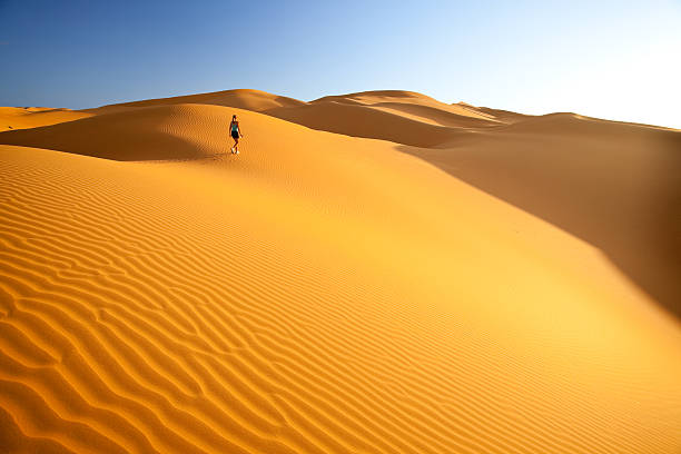 istock sporty woman walking through desert 108313844