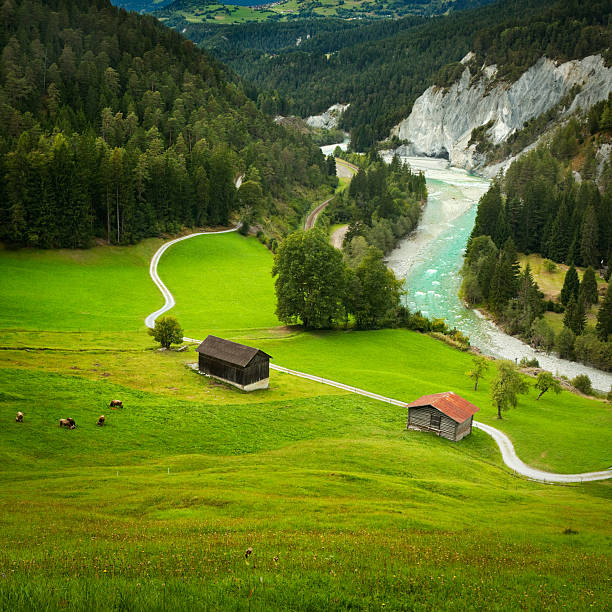 горнолыжный пастбища выше известняк каньон rheinschlucht в швейцарии - landscape laax graubunden canton switzerland стоковые фото и изображения