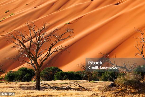Namib Stockfoto und mehr Bilder von Namib - Namib, Afrika, April