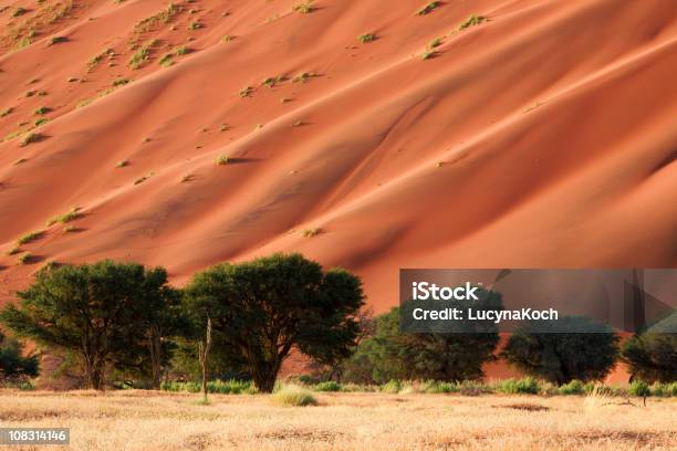 Namib Duene Stockfoto und mehr Bilder von Afrika - Afrika, April, Ausgedörrt