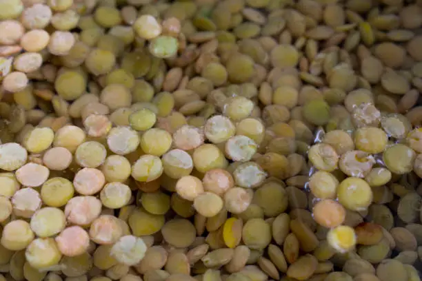 Green lentils soaking in a bowl of water
