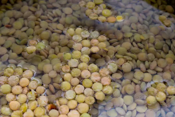 Green lentils soaking in a bowl of water