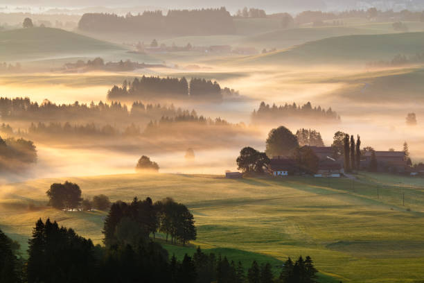 gloria de la mañana en baviera alemania - bavaria allgau germany landscape fotografías e imágenes de stock