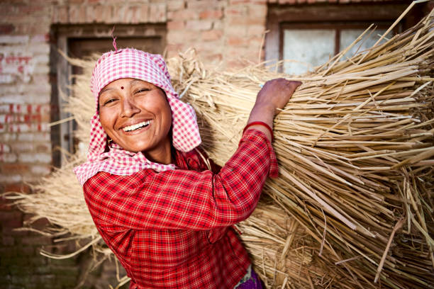 nepalski kobieta - india women ethnic indigenous culture zdjęcia i obrazy z banku zdjęć