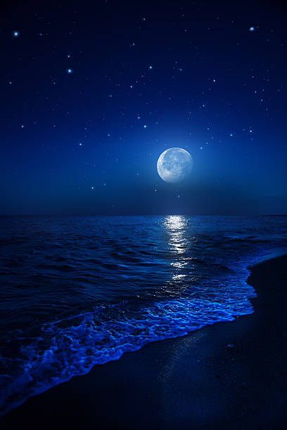 Rising moon over sea  fantasy moonlight beach stock pictures, royalty-free photos & images