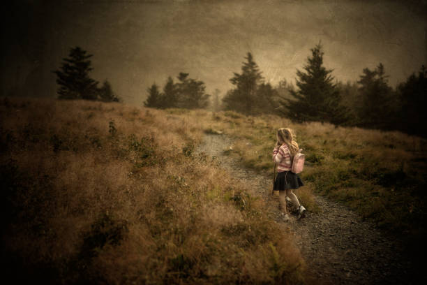 작은가 여자아이 at roan 산 주립 공원 - roan mountain state park 뉴스 사진 이미지