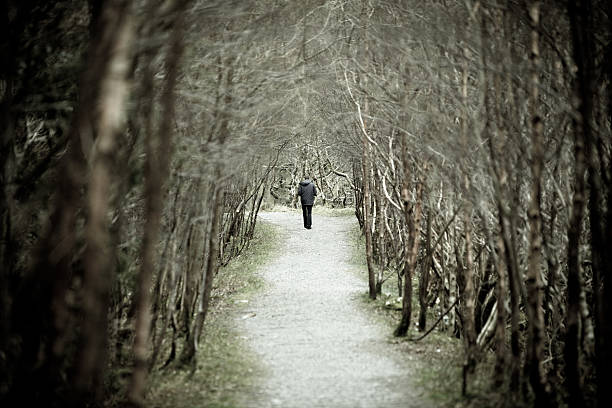 istock Trail through the woods in Glenda Lough, Ireland 108315115