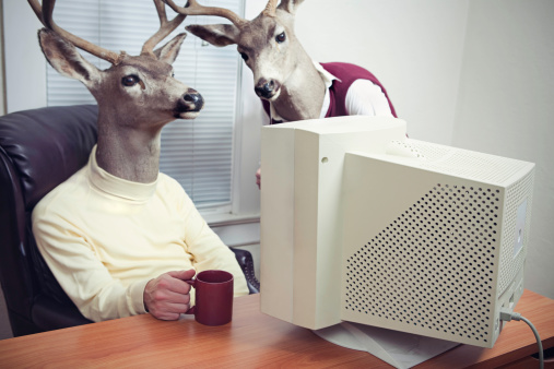 Two business men with the head of a stag / buck work in front of an old computer monitor, drinking coffee and discussing their work.