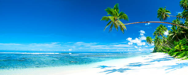 Tropical Seascape