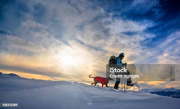 Photo libre de droit de Randonnée En Raquettes banque d'images et plus d'images libres de droit de Raquette à neige - Raquette à neige, Randonnée en raquettes, Chien