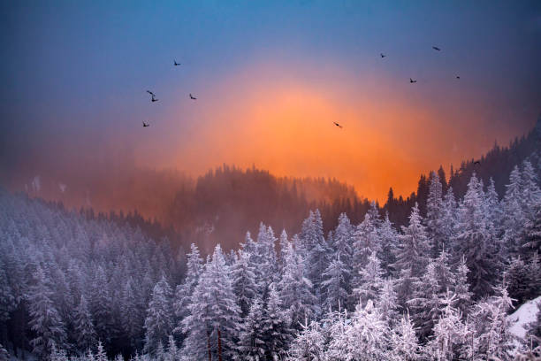 istock Snowy mountain landscape 1083153344