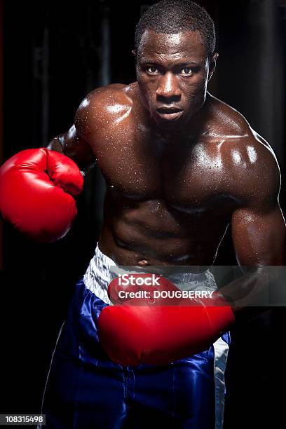 Boxer Stock Photo - Download Image Now - 25-29 Years, Abdominal Muscle, Accuracy