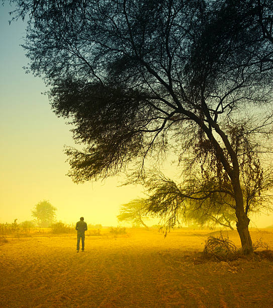 istock Man standing under a tree on foggy morning 108315503