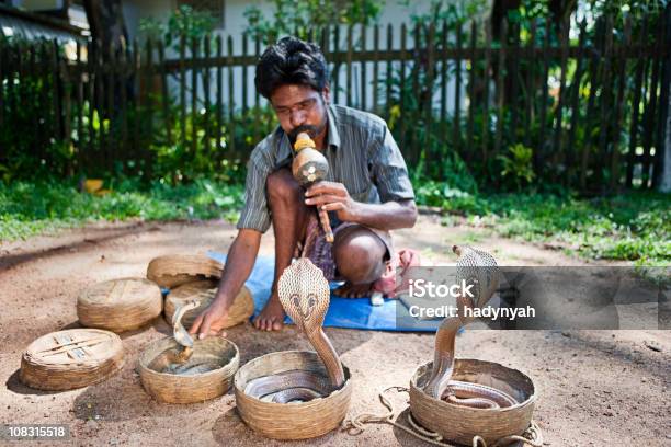 Indian Encantador De Serpentes - Fotografias de stock e mais imagens de Encantador de Serpentes - Encantador de Serpentes, Adulto, Animal