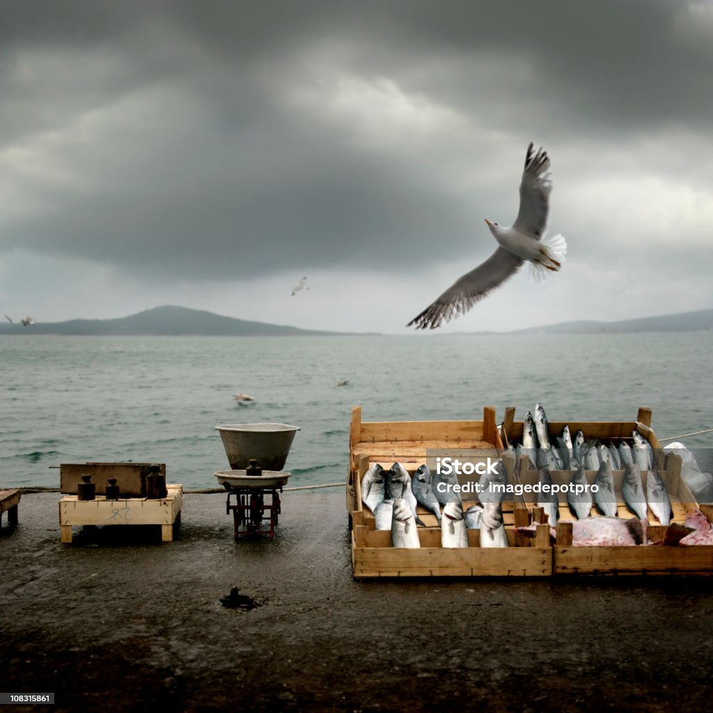 fish market fresh fishes in wooden cases beside old scale and flying seagull over cloudy sky and sea.  Animals Hunting Stock Photo